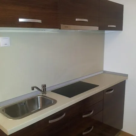 Studio Montana Poiana Brasov Room photo