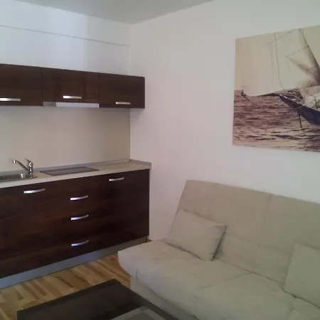 Studio Montana Poiana Brasov Room photo