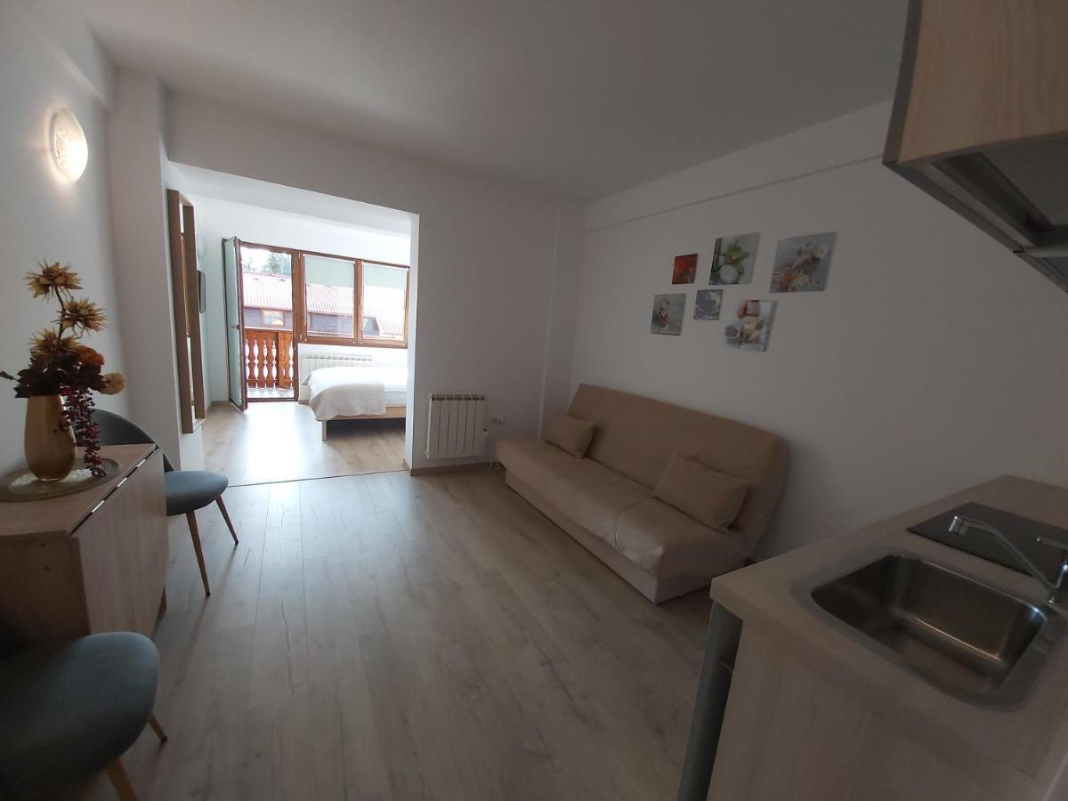 Montana Apartment Poiana Brasov