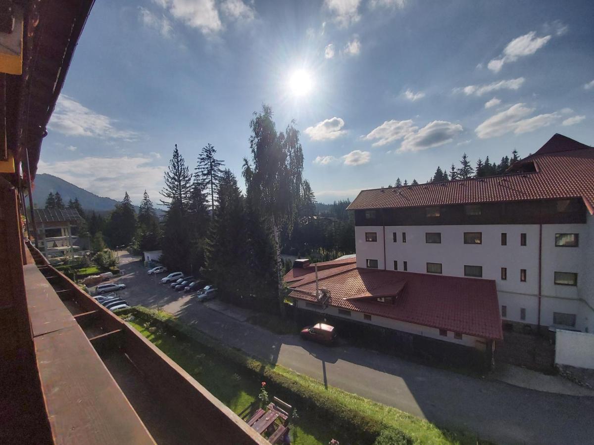 Apartment Montana Poiana Brasov